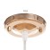 Benny lamp 1x40W E27 gold 20x20x80 (20) cm