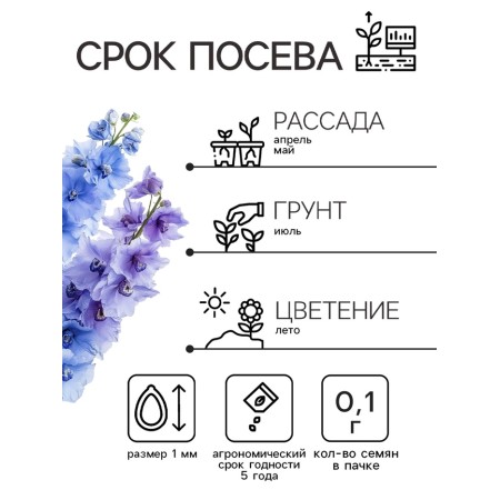 Flowers Dolphinium "Magic Fountain", 0.1 g-1