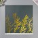 Paper D/Scrap Bilateral "Vera. Fwear Gold", 180 g, nr 5 pcs 30.5x32 cm