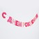 Garland “Happy Birthday!”, Princess, paper