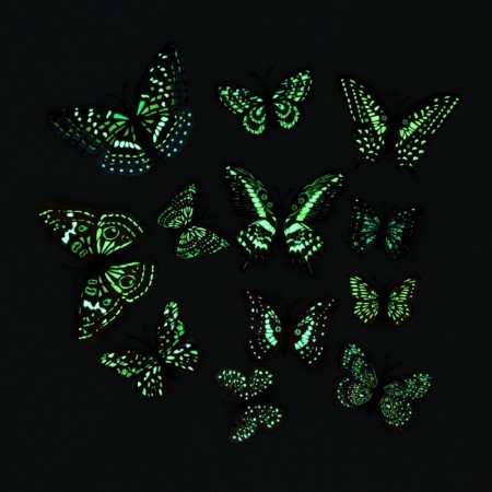 Set of interior stickers "butterflies", luminous-6