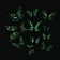Set of interior stickers "butterflies", luminous