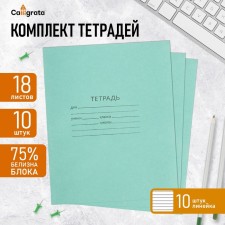 A set of notebooks of 10 pieces, 18 sheets in the line of the Green Cover PDA, block No. 2, whiteness 75% (gray sheets)
