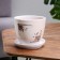 Flower Pot "Quartet" 1l