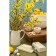 Liberty Jones Birds of Paradise, Cream color