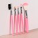 Set of makeup brushes "Tenderness", 5 objects, pink color