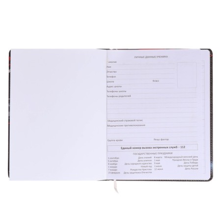 Universal diary for grade 1-11 Born for Speed, solid cover, artificial leather, foam rubber, liesse, 80 g/m2-3