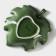 Lisztaya salad finish, 300 ml, 17.5 × 15.5 cm, green color