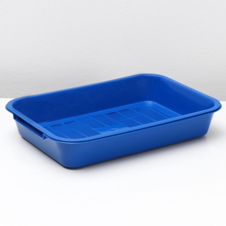 Medium toilet with a mesh of 36 x 26 x 6.5 cm, blue/blueberry-2