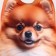 Antistress toy "Fluffy Spitz"