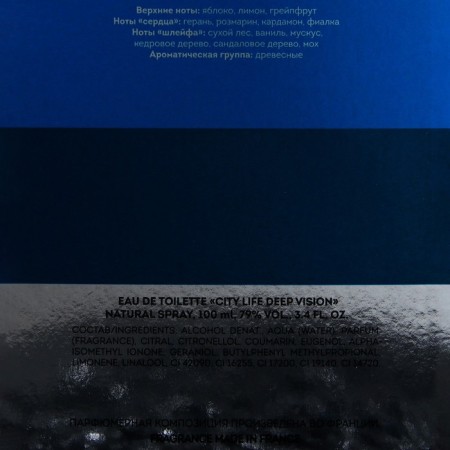 Men's toilet water City Life Deep Vision, 100 ml-2