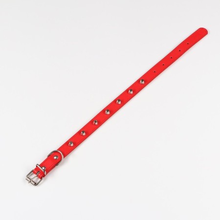 A collar with blurted spikes, 45 x 2 cm, mix of flowers-2