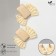Earrings "Vakanda" style, bow, beige color
