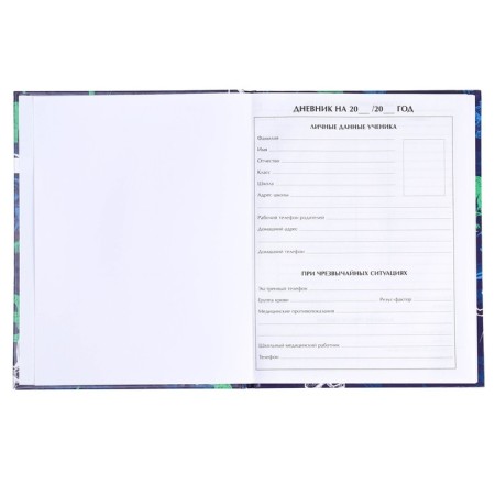 Diary for grades 1-4, "dinosaur 2", solid cover 7BC, glossy lamination, 48 sheets-3