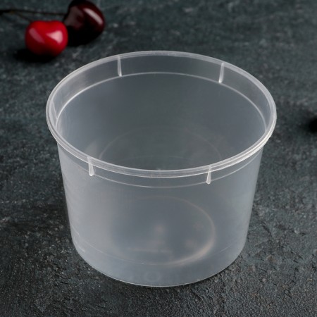 Container plastic disposable “Suditsa”, 500 ml, 25 pcs/pcs, transparent color