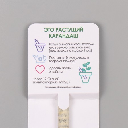 Growing gift pencils Mini "Paprika"-2