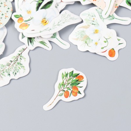 Stickers for creativity "Roses and fruits" set 46 pcs 4.4x4.4x1.1 cm-1