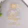 Sticker of rhinestones Plastic "Kitenok and Rose" MIX 19x8.5 cm
