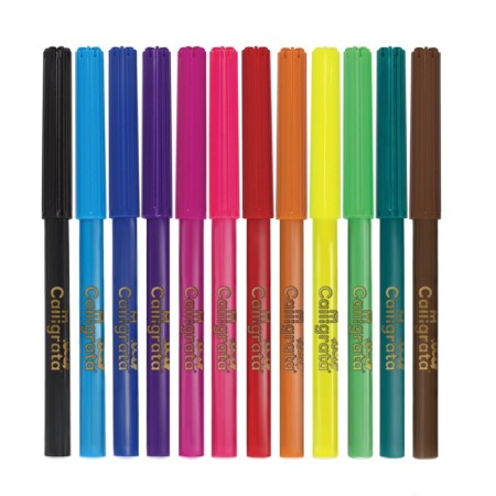 Flomasters 12 colors, Top calligrata, in the blister-2