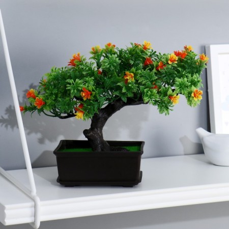 Bonsai in the pot "Tree of Life" 11,5x15 cm, mix