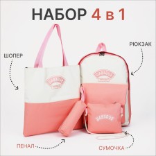 A backpack with a zipper, an outer pocket, a set of a chover, bag, pink color