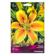 Lilia Asian Polyannah, 14/16 rr, 2 pcs. 115 h (cm), autumn 2024