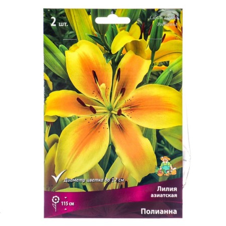 Lilia Asian Polyannah, 14/16 rr, 2 pcs. 115 h (cm), autumn 2024