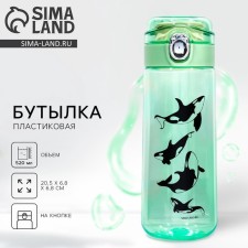Water bottle 