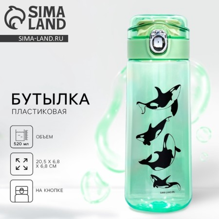 Water bottle "Runks", 520 ml