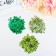 Sequins for creativity "classic", shades of green, 6 mm, 30 g