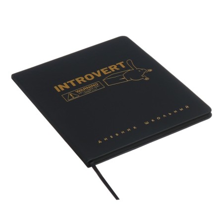 Universal Diary Grade 1-11, 48 Introvert sheets, firm artificial leather cover, foil embossing, liesse, universal cheat sheet, block 80 g/m2-1