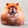 Antistress toy "Chau-Chau"