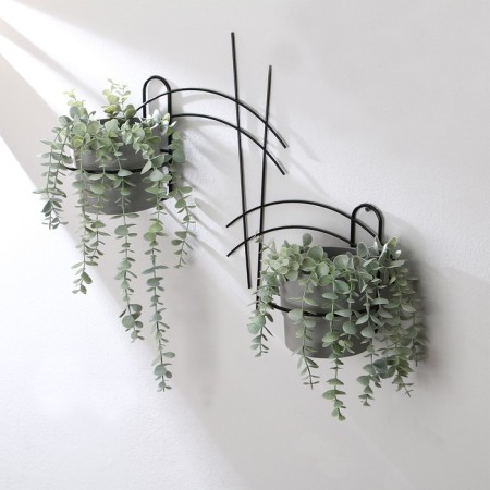 Suspension for Kashpo, wall, 2 pots, d = 16 cm, black, "bouquet"-1
