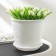 Pot for flowers with the Podon Venice, 4.1 l, D = 21 cm, white color