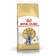 Dry food RC British Shorthair for British cats, 400 g