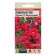 Flower seeds Lion Zev Twinni "purple", terry, seed. ALT, c/n, 10 pcs
