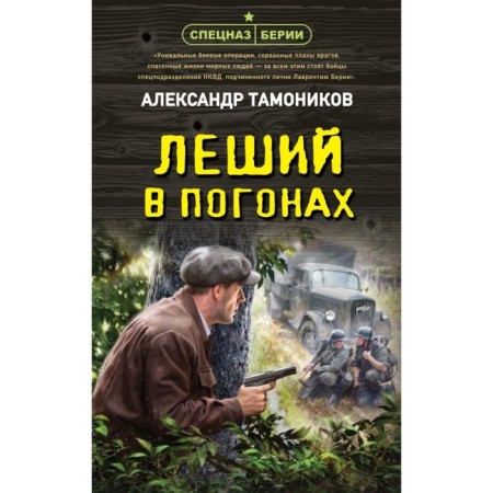 Goblin in uniform. Tamonikov A.A.