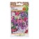 Flowers Flox one -year -old "Old Aise", 50 pcs