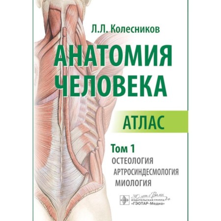 Human anatomy. Atlas. Volume 1. Osteology, arthrosindesmology, myology. Kolesnikov L.L.