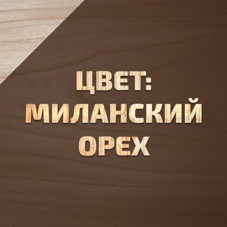 Antiseptic Iceeptic in natural linseed oil VDPF-1601 Milan nut 3 l-1