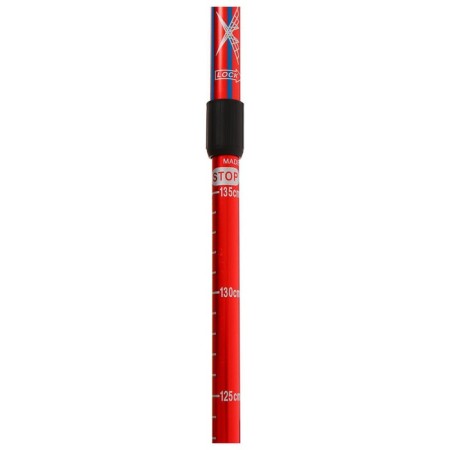 Sticks for Scandinavian walking online, telescopic, 3 sections, up to 135 cm, 2 pcs., Mix color-8