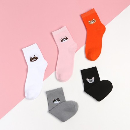 Набор женских носков KAFTAN "Meow“ 5 пар, р. 36-39 (23-25 см)-2