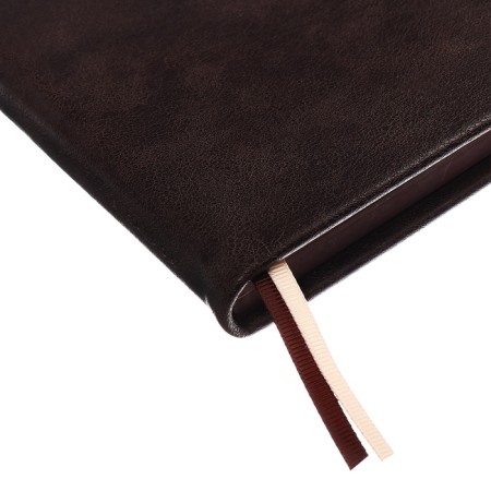 Diary Nedtir A5 160l Escalada, TV Region, Light claim, Las, tone BL 70g/m2, brown-5