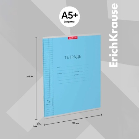 Notebook of 12 sheets in the Erichkrause "Classic", cardboard cover, blue-2
