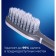 Evermex Essential toothbrush, average stiffness, 2 pcs.