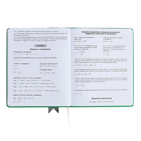 Universal diary for grades 1-11 Lenta, solid cover of artificial leather, applique, silkography, liesse, 48 sheets, green-12