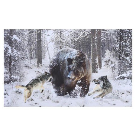 Picture on the canvas "Fight of animals" 60x100 cm