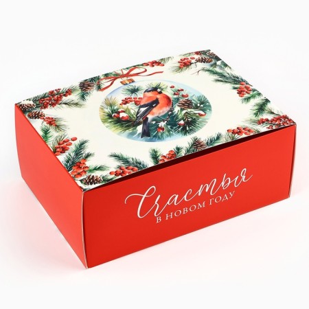 Box the national team "Bullfins", 25 x 18 x 10 cm, New Year-2