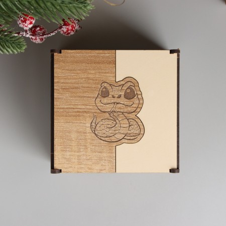 New Year's box combined "snake" 10.5x10x7 cm-2