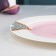 Porcelain dining plate Magistro "Milady", D = 25.3 cm